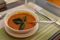 Vegetarian lentil curry soup in bowl Royalty Free Stock Photo