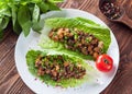 Vegetarian lettuce wraps with mushrooms, chestnuts, onion Royalty Free Stock Photo