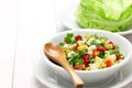Vegetarian lettuce wraps Royalty Free Stock Photo