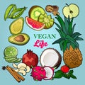Vegetarian Life. Fruit poster