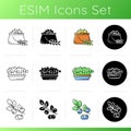Vegetarian meals icons set. Royalty Free Stock Photo