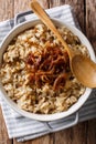 Vegetarian Mujaddara from rice and lentils with caramelized onion macro. Vertical top view Royalty Free Stock Photo