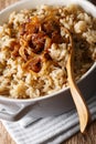Vegetarian Mujaddara from rice and lentils with caramelized onion macro. vertical Royalty Free Stock Photo