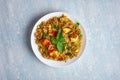 Vegetarian paneer biryani at light blue background