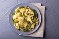 Vegetarian pappardelle pasta with green bean, pesto, pine nuts Royalty Free Stock Photo