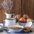 Vegetarian parasol mushroom soup Royalty Free Stock Photo
