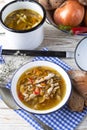 Vegetarian parasol mushroom soup Royalty Free Stock Photo