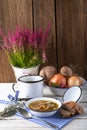 Vegetarian parasol mushroom soup Royalty Free Stock Photo