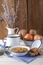 Vegetarian parasol mushroom soup Royalty Free Stock Photo