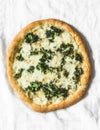 Vegetarian potato, kale, mozzarella pizza on a light background, top view Royalty Free Stock Photo