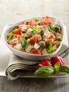 Vegetarian rice salad with tofu Royalty Free Stock Photo