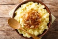 Vegetarian rustic food mashed potatoes with caramelized onions close-up on a plate on the table. Horizontal top view Royalty Free Stock Photo