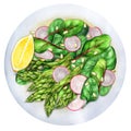 Vegetarian salad with asparagus and greens 2