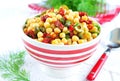 Vegetarian salad with chickpeas, dried tomatoes, capers and dill Royalty Free Stock Photo