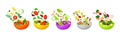 Vegetarian Salad with Dropping in Bowl Ingredient Mix Vector Set Royalty Free Stock Photo
