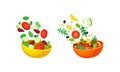 Vegetarian Salad with Dropping in Bowl Ingredient Mix Vector Set Royalty Free Stock Photo