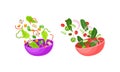 Vegetarian Salad with Dropping in Bowl Ingredient Mix Vector Set Royalty Free Stock Photo