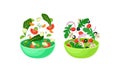 Vegetarian Salad with Dropping in Bowl Ingredient Mix Vector Set Royalty Free Stock Photo