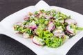Vegetarian salad with radish and green onions Royalty Free Stock Photo