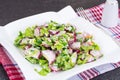 Vegetarian salad with radish and green onions Royalty Free Stock Photo