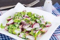 Vegetarian salad with radish and green onions Royalty Free Stock Photo