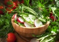 Vegetarian salad with radishes, cucumber, tomato, wild garlic, g Royalty Free Stock Photo