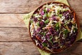 Vegetarian salad of white and red cabbage with carrots dressed w Royalty Free Stock Photo