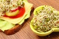 Vegetarian sandwich and bowl with alfalfa and radish sprouts