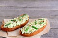 Vegetarian sandwich recipe with guacamole. Open rye sandwiches with avocado guacamole, fresh green onion and spices on a paper