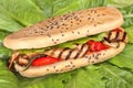 Vegetarian Sandwich with sesame