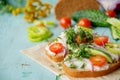 Wholesome sandwich with cheese, garden radish -Healthy Eating Royalty Free Stock Photo