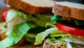 Vegetarian sandwiches Royalty Free Stock Photo