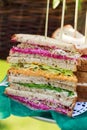 Vegetarian sandwiches Royalty Free Stock Photo