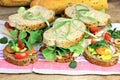 Vegetarian sandwichs and ham sandwichs Royalty Free Stock Photo