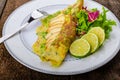 Vegetarian scallion omelette