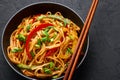 Vegetarian Schezwan Noodles or Vegetable Hakka Noodles or Chow Mein in black bowl at dark background. Schezwan Noodles is indo-