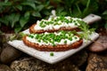 Vegetarian seeded sourdough bread open sandwich with cottage cheese and petit poit peas sprinkled with chilli flakes Royalty Free Stock Photo