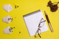 Vegetarian seeds in handmade bags, notebook, pen, glasses on a yellow background. View from above. Place for an inscription. Royalty Free Stock Photo