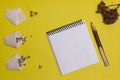 Vegetarian seeds in handmade bags, notebook, pen, glasses on a yellow background. View from above. Place for an inscription. Royalty Free Stock Photo