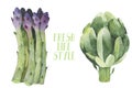 Vegetarian seamless pattern. Watercolor. seamless texture with detailed hand-painted vegetables Royalty Free Stock Photo