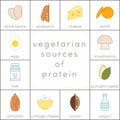 Vegetarian sources of protein