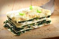 Vegetarian spinach lasagne Royalty Free Stock Photo