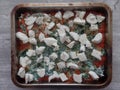 Vegetarian spinach and ricotta lasagne Royalty Free Stock Photo