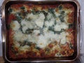 Vegetarian spinach and ricotta lasagne Royalty Free Stock Photo