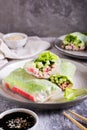 Vegetarian spring rolls with cucumber, crab sticks and lettuce on a plate. Vertical view Royalty Free Stock Photo