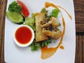 Vegetarian springrolls