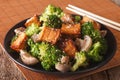 Vegetarian Stir Fry: tofu with broccoli, mushrooms and sesame cl