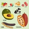 Vegetarian superfood healthy vegetable eco food fresh organic traditional gourmet nutrition vector illustration.