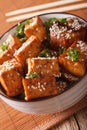 Vegetarian tofu fried with sesame and herbs in a bowl close-up.