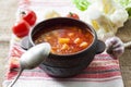 Tomato soup with cabbage and cauliflower Royalty Free Stock Photo